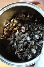 WW1/WW2 REGIO ESERCITO  CHIODI