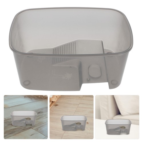 Teca per rettili area di - ,