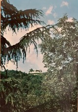 Cartolina Mezzana Mortigliengo Biella Santuario di San Rocco Non viaggiata