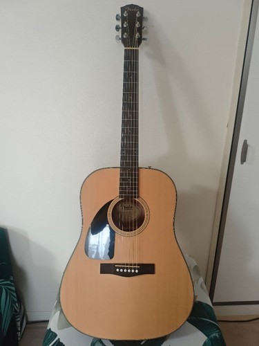 Fender 100 nat - cd, ds