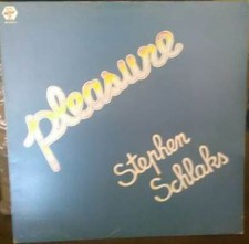 DISCO 33 GIRI          STEPHEN