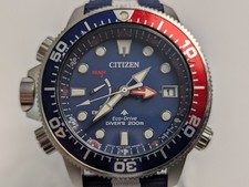 Citizen BN2038-01L Promaster