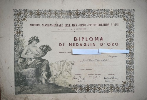 Mostra mandamentale - mostra,