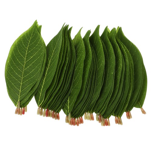 Foglie magnolia finte - 50, di