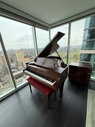 Steinway baby grand piano - steinway,