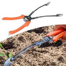 Strumento per il trapianto di