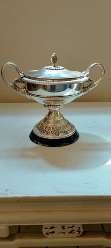 Grande coppa centrotavola - grande,