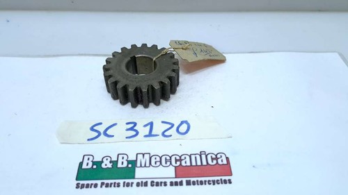 Ingranaggio z19 nuovo - nuovo, albero