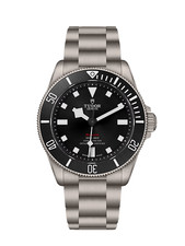 Tudor Pelagos 39 Titanium