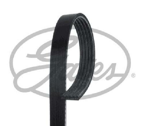 Cinghia trapezoidale originale