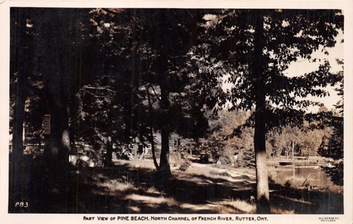 Rutter ontario pino - rutter,
