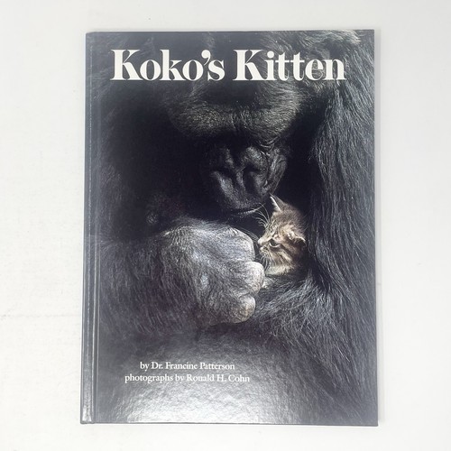 Koko kitten francine - kitten, by