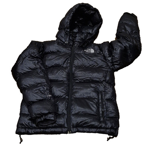 The north face 700 fill - the,