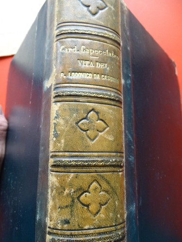 Vita del lodovico da - del, p.