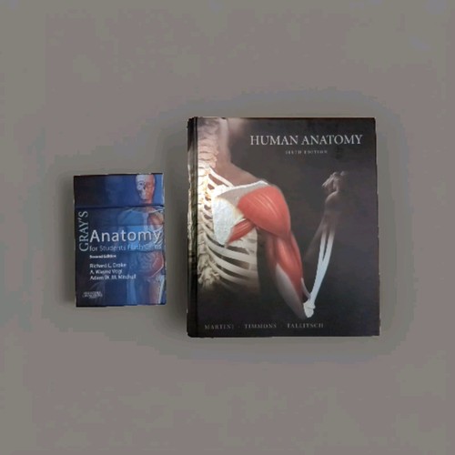 Human anatomy - human, (6th