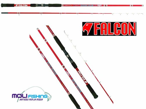 Canna pesca dalla - pesca,