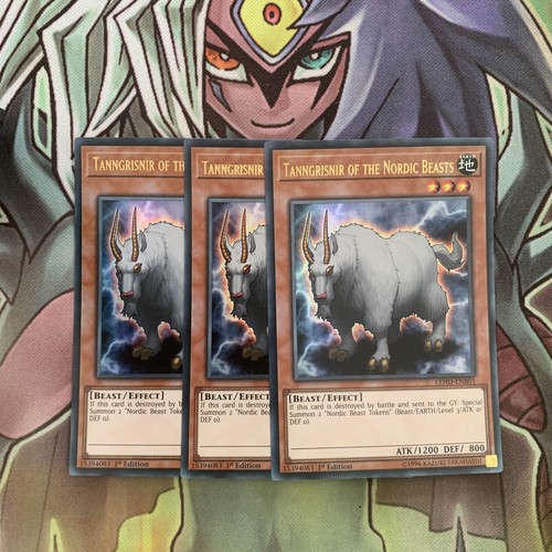 Lehd enb01 tanngrisnir of - x3,