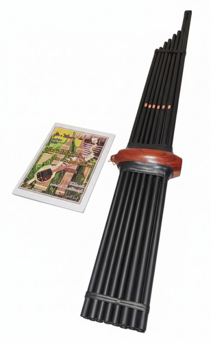 Organo bocca bambù canna