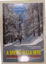 A spasso sulla neve. 60