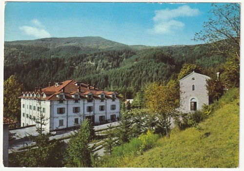 Foresta campigna forli - campigna,