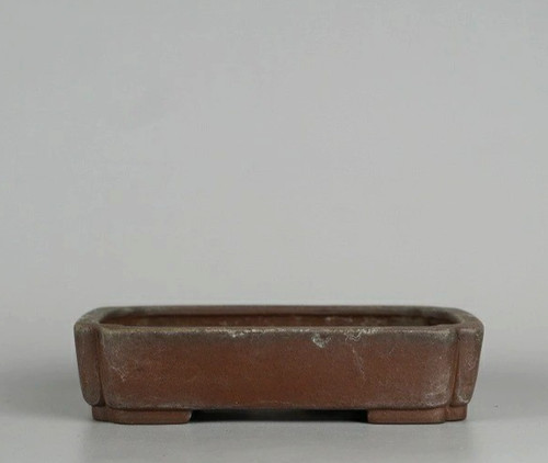 Vaso bonsai giapponese