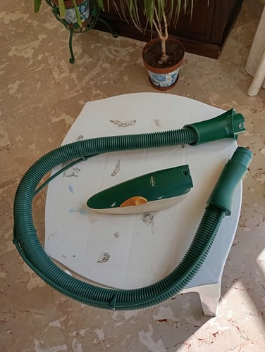 Picchio folletto 420 - picchio,