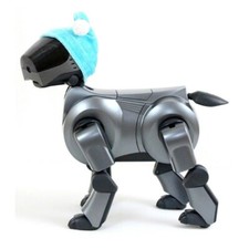 Sony Aibo | ERS-210 Robot Cane