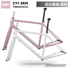 Telaio stradale 700C cablaggio