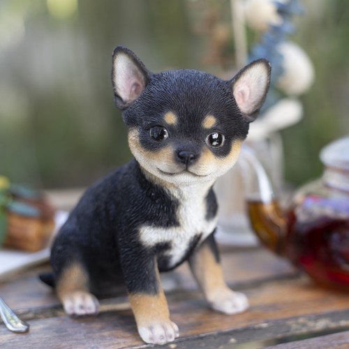 Soreal chihuahua nero - nero, |
