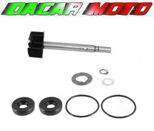 Kit revisione pompa acqua