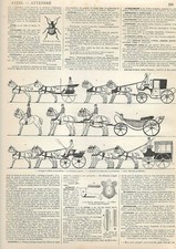 Incisione Da Stampa - I