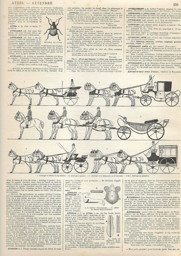 Incisione stampa i - incisione,