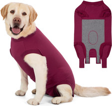 Body Post Operatorio Cane