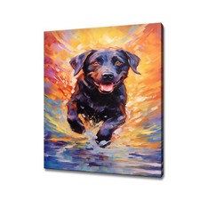 Stampa tela per animali