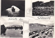 SCAURI: Saluti da   1960