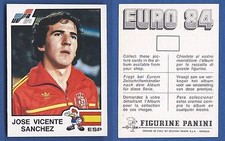 FIGURINA CALCIATORI PANINI