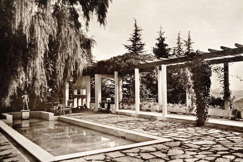 Cartolina torriglia - cartolina,