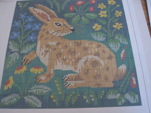 Ehrman rabbit candace - rabbit, bahouth