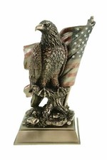 Aquila di mare testa bianca