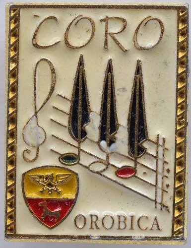 Distintivo spilla alpini - distintivo,