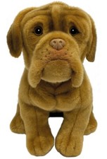 Dogue de Bordeaux orsacchiotto