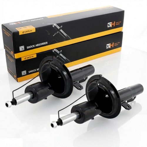 Coppia ammortizzatori gas - a,