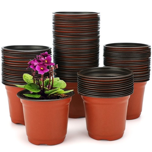 Kinglake 100 vasi plastica - di,