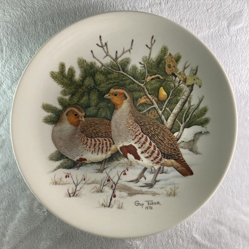 Partridges and pear - pear, tree