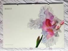 CALENDARIO PIRELLI 2004