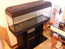 Acquario completo usato Pet Company 100 litri (Solo ritiro in zona Roma)