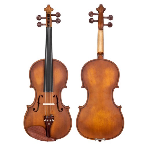 Glarry spruce maple - 4/4,