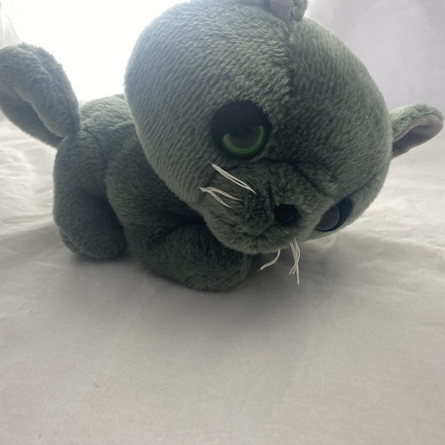 Soft toys gatto - soft,
