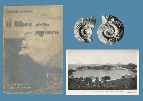 Libro della natura - libro,