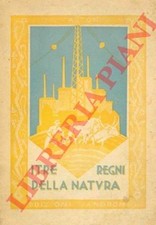 FALZONI G. - Fisica chimica mineralogia ed elementi di scienze applicate e cenn